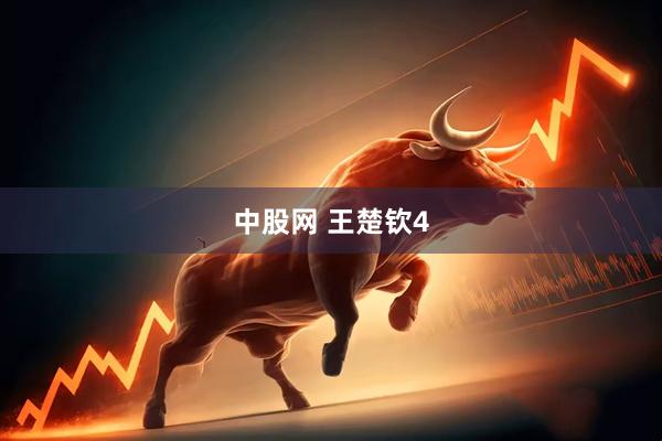 中股网 王楚钦4