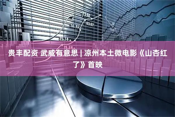 贵丰配资 武威有意思 | 凉州本土微电影《山杏红了》首映