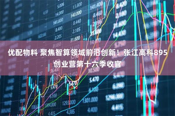 优配物料 聚焦智算领域前沿创新！张江高科895创业营第十六季收官