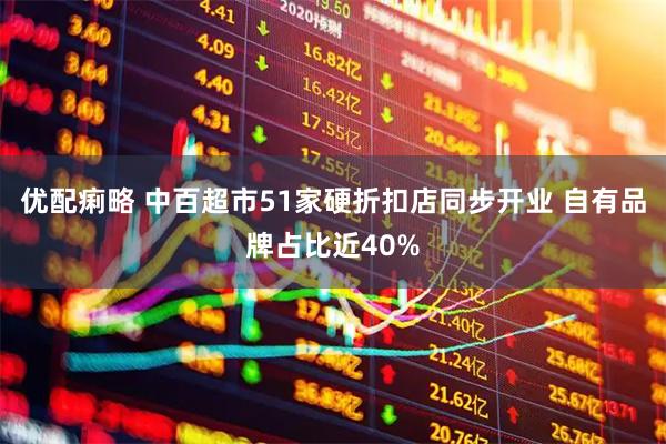优配痢略 中百超市51家硬折扣店同步开业 自有品牌占比近40%