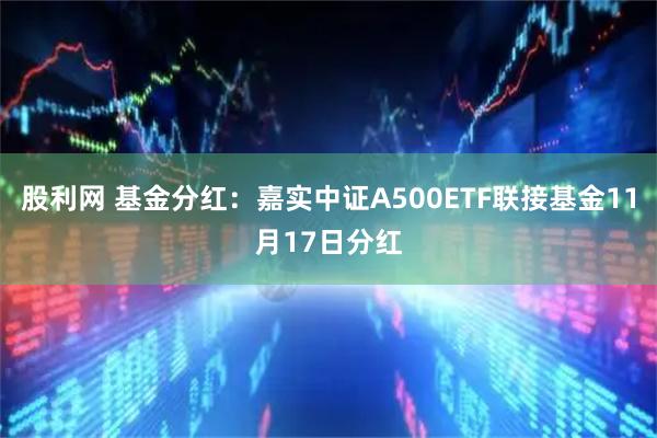 股利网 基金分红：嘉实中证A500ETF联接基金11月17日分红